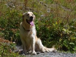 Click to see big picture (1024x768 pixels; 201 KB)