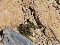 Click to see big picture (1024x768 pixels; 227 KB)