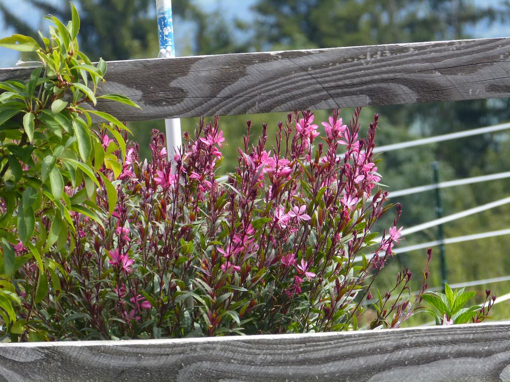 {Clic pour voir plus grand}