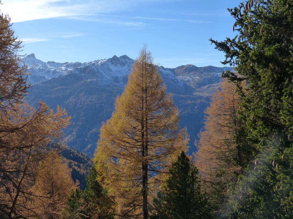 {Clic pour voir plus grand}