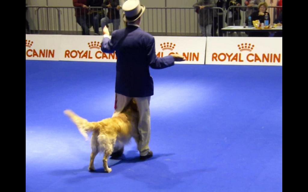 {Clic pour voir plus grand}