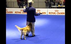 Click to see big picture (1024x640 pixels; 52 KB)