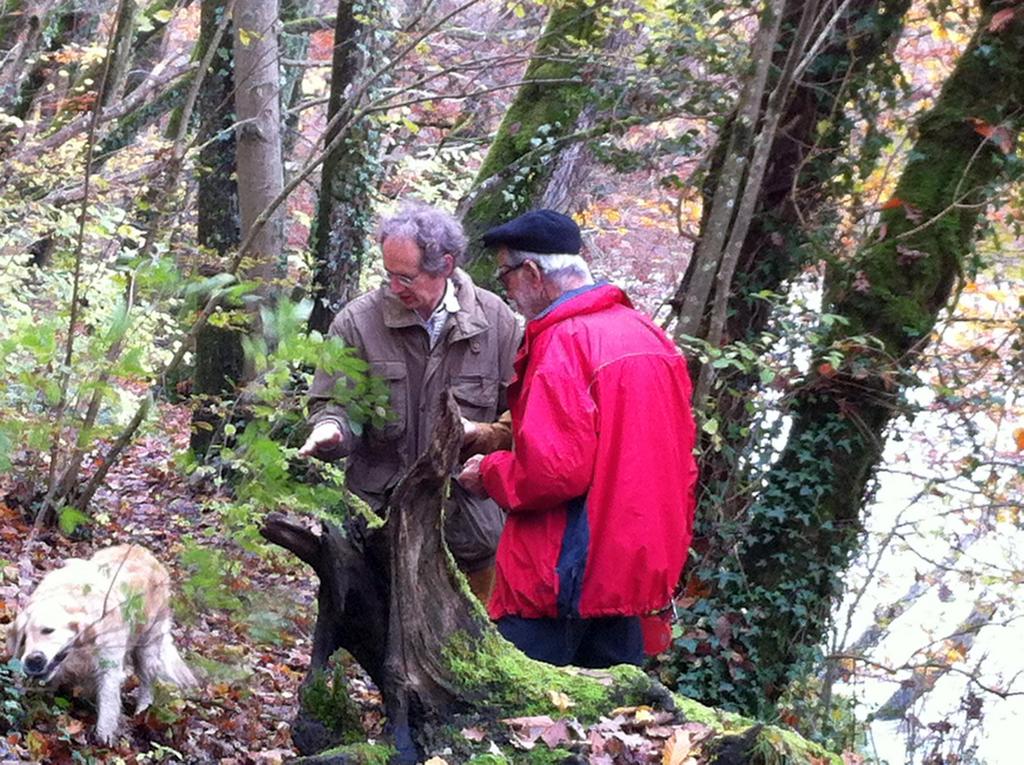 {Clic pour voir plus grand}