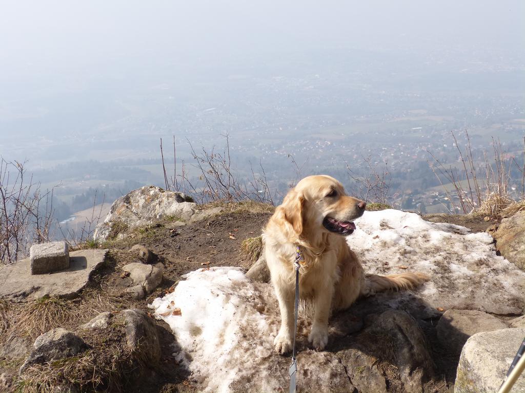 {Clic pour voir plus grand}