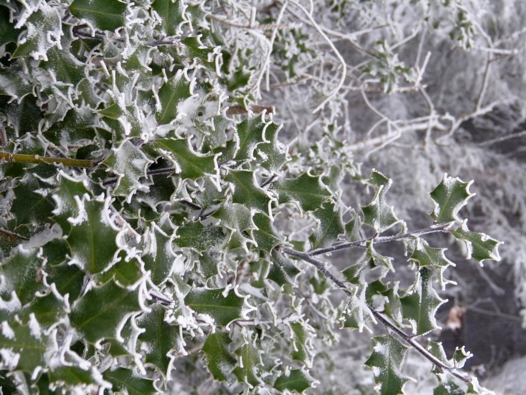 {Clic pour voir plus grand}