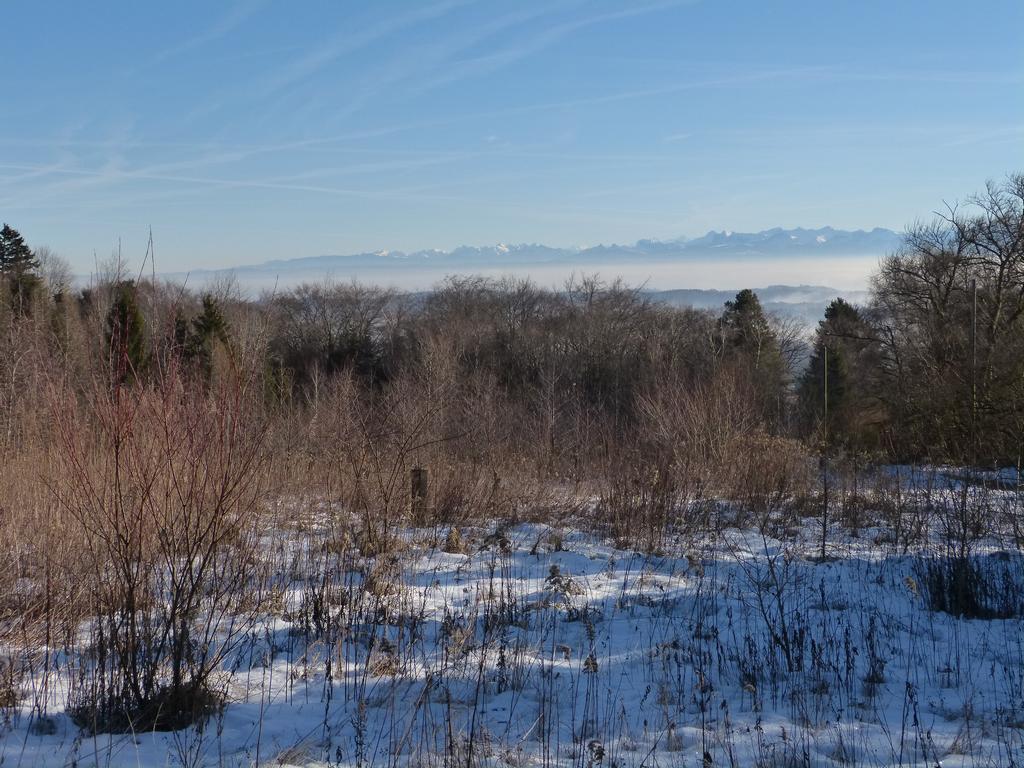 {Clic pour voir plus grand}