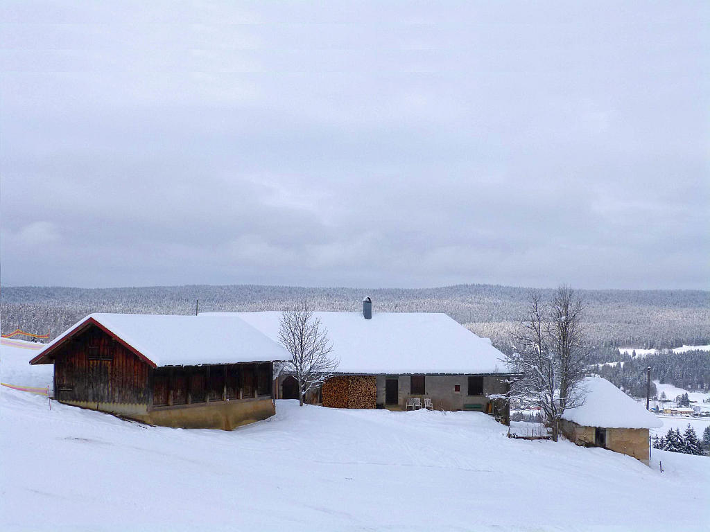 {Clic pour voir plus grand}