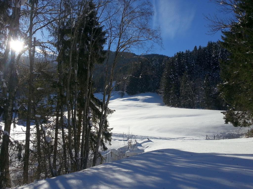 {Clic pour voir plus grand}