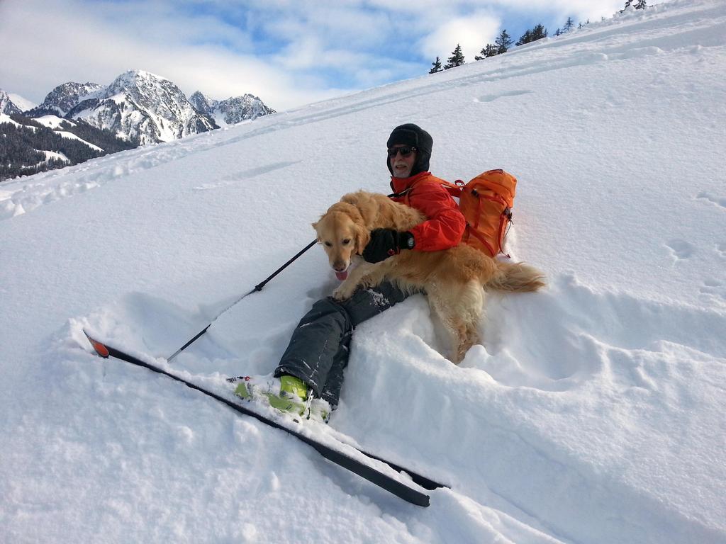 {Clic pour voir plus grand}