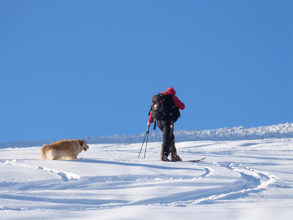 {Clic pour voir plus grand}