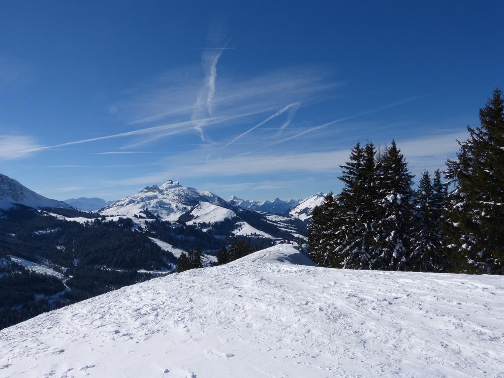 {Clic pour voir plus grand}