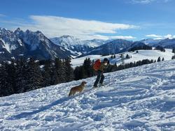 Click to see big picture (1024x768 pixels; 176 KB)