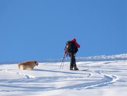 Click to see big picture (1024x768 pixels; 64 KB)