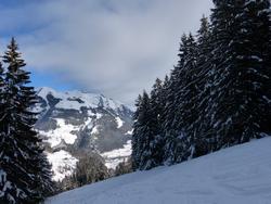 Click to see big picture (1024x768 pixels; 127 KB)