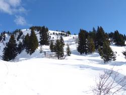 Click to see big picture (1024x768 pixels; 96 KB)