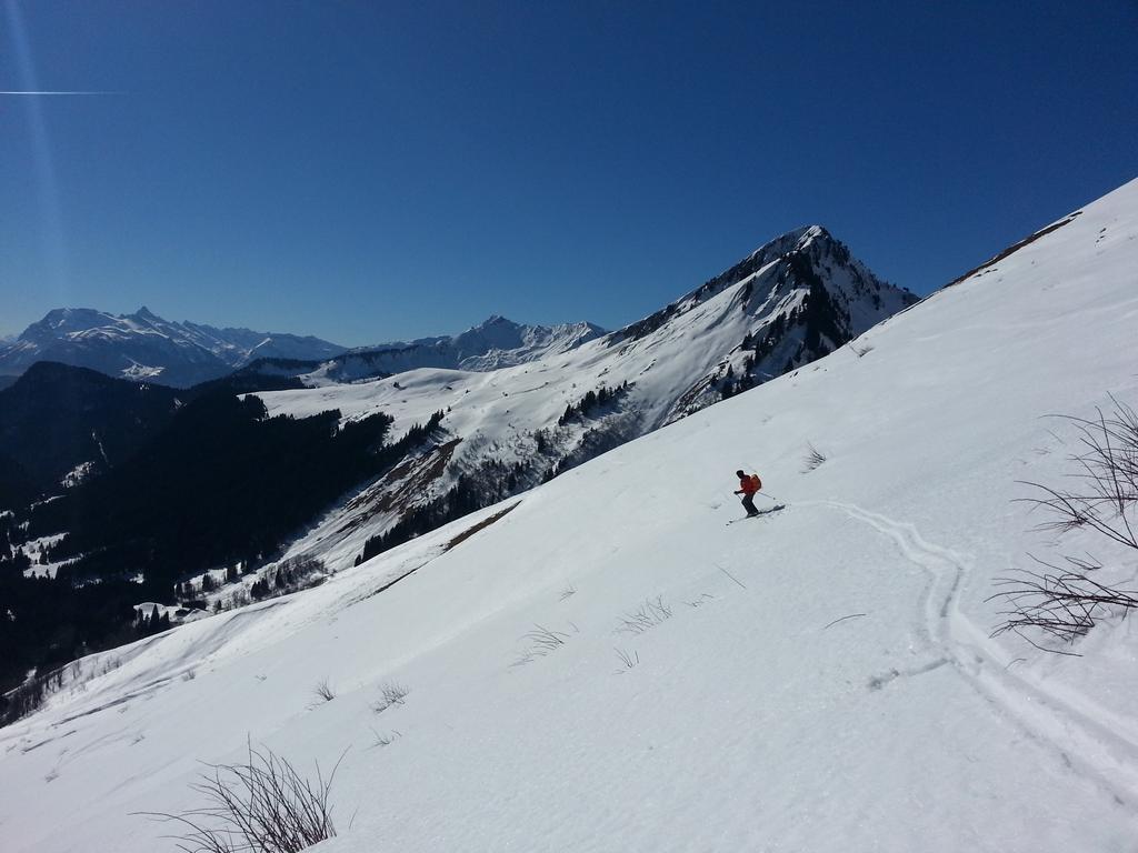 {Clic pour voir plus grand}