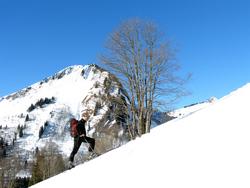 Click to see big picture (1024x768 pixels; 107 KB)