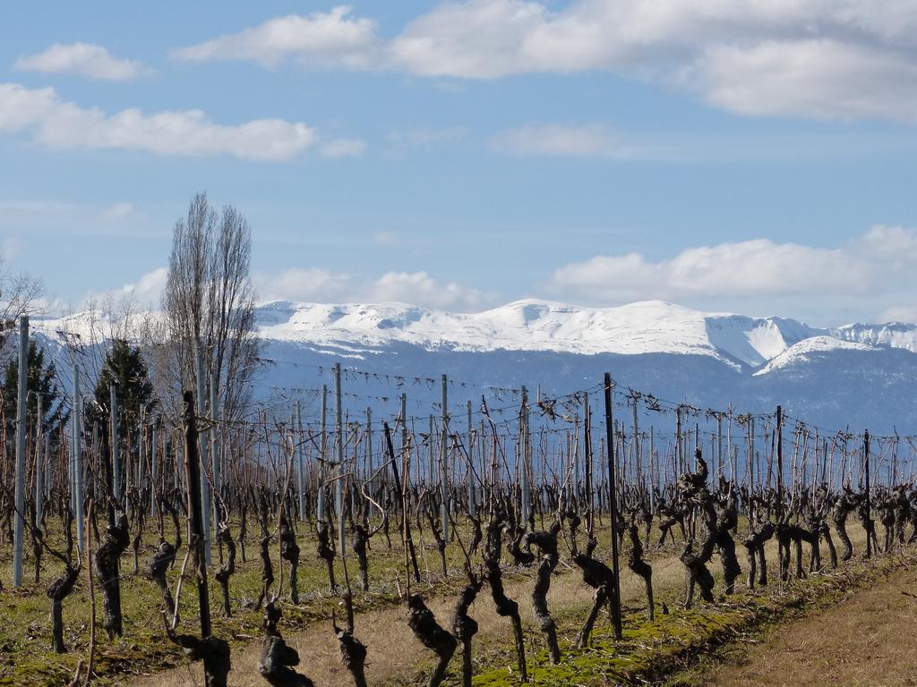 {Clic pour voir plus grand}