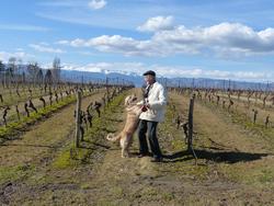 Click to see big picture (1024x768 pixels; 166 KB)