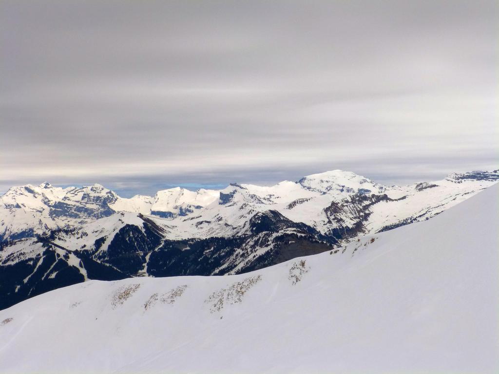 {Clic pour voir plus grand}