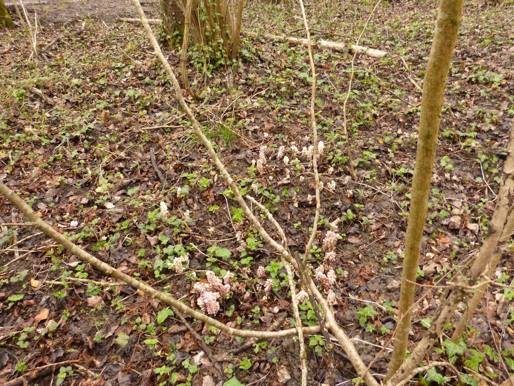 {Clic pour voir plus grand}