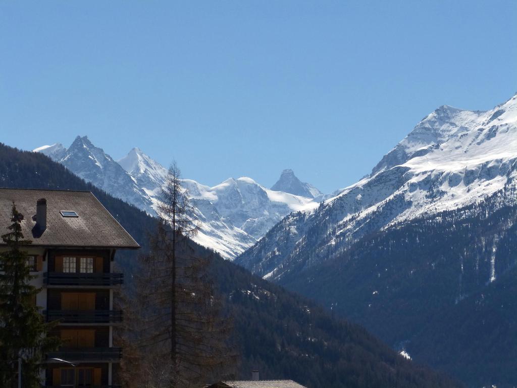 {Clic pour voir plus grand}