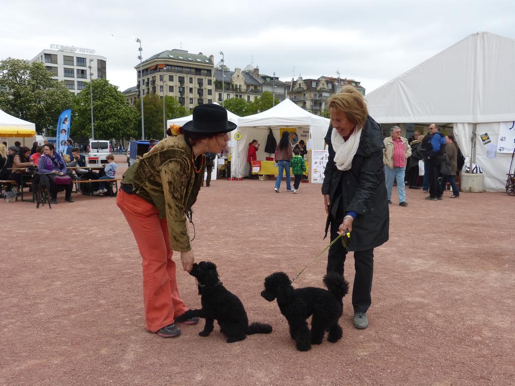 {Clic pour voir plus grand}