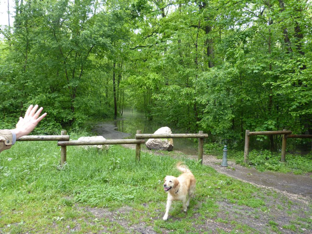 {Clic pour voir plus grand}