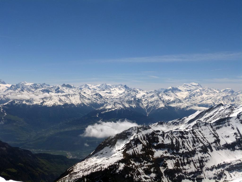 {Clic pour voir plus grand}