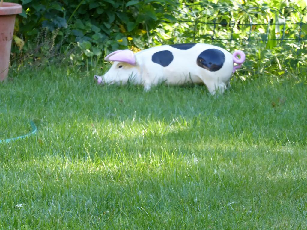 {Clic pour voir plus grand}