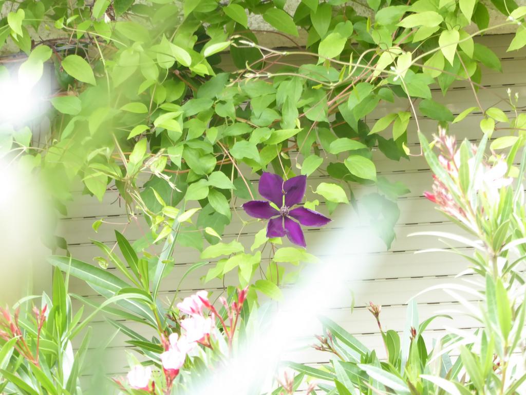 {Clic pour voir plus grand}