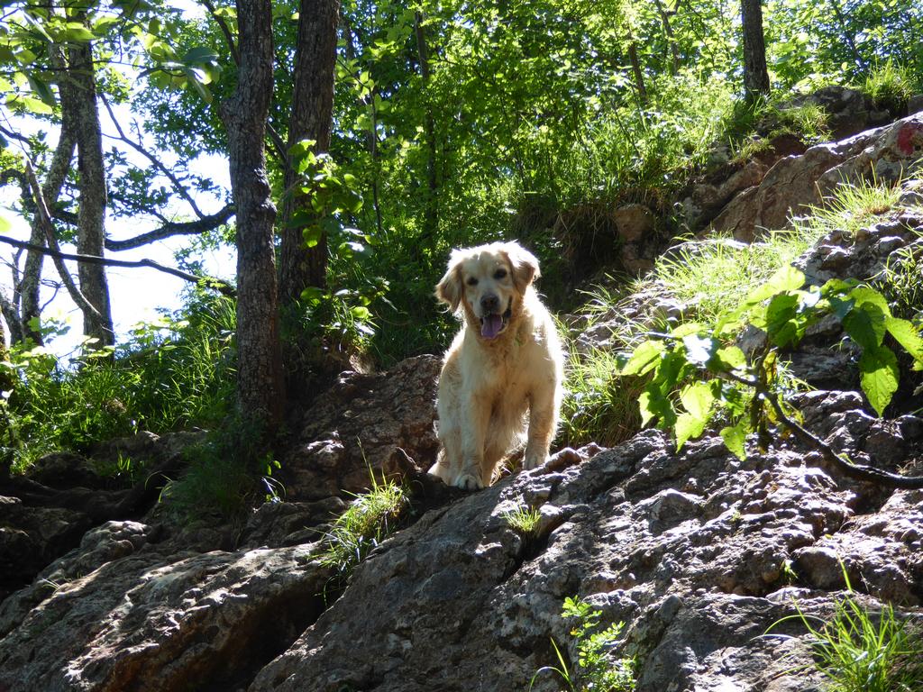 {Clic pour voir plus grand}