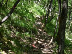 Click to see big picture (1024x768 pixels; 238 KB)