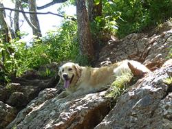 Click to see big picture (1024x768 pixels; 206 KB)