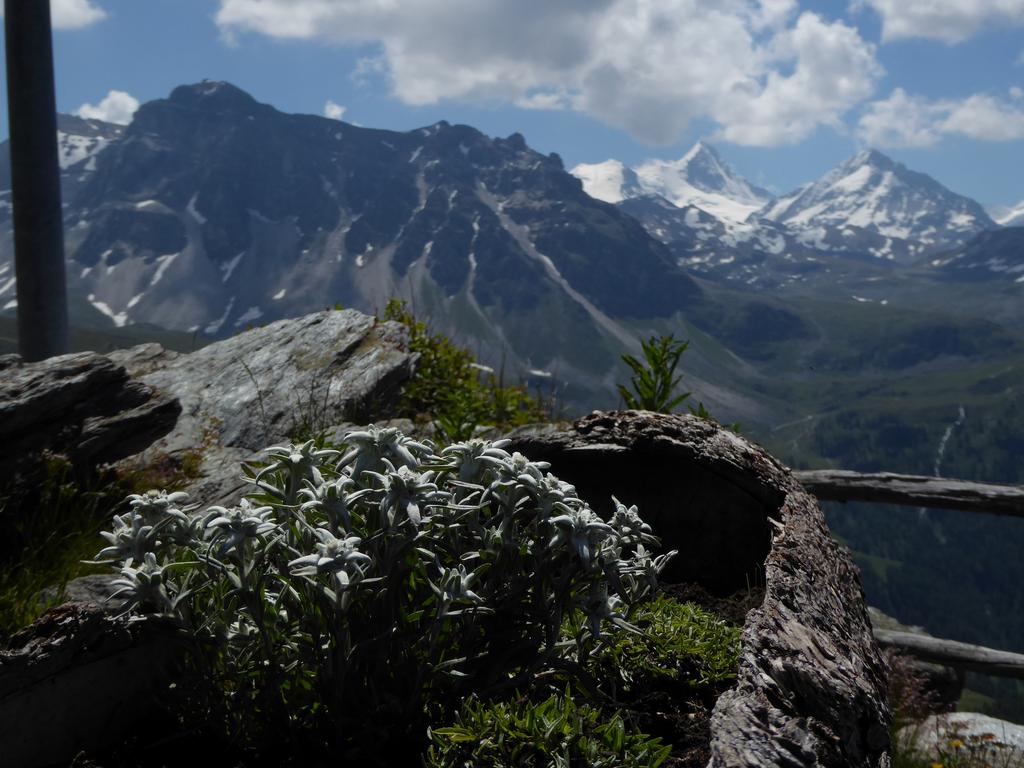 {Clic pour voir plus grand}