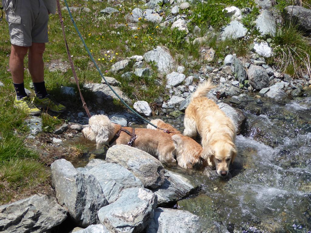 {Clic pour voir plus grand}