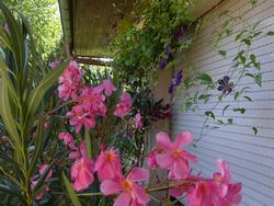 Click to see big picture (1024x768 pixels; 150 KB)