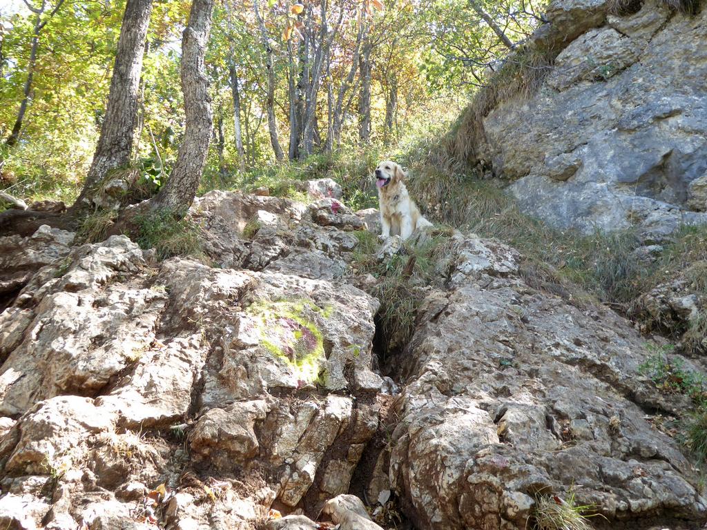 {Clic pour voir plus grand}