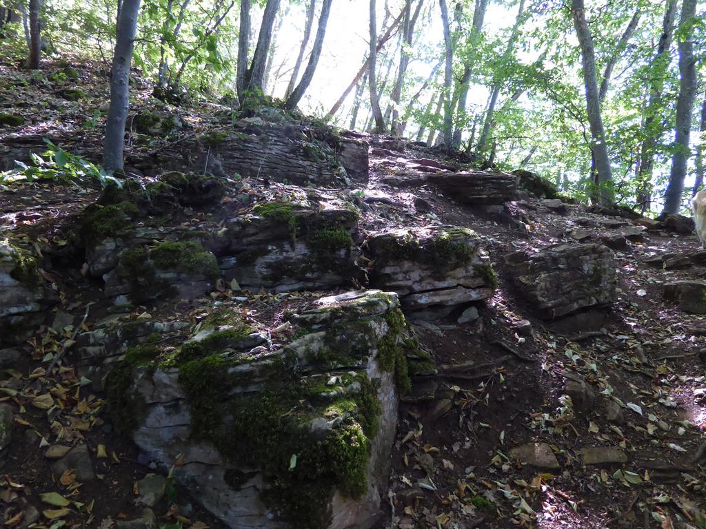 {Clic pour voir plus grand}