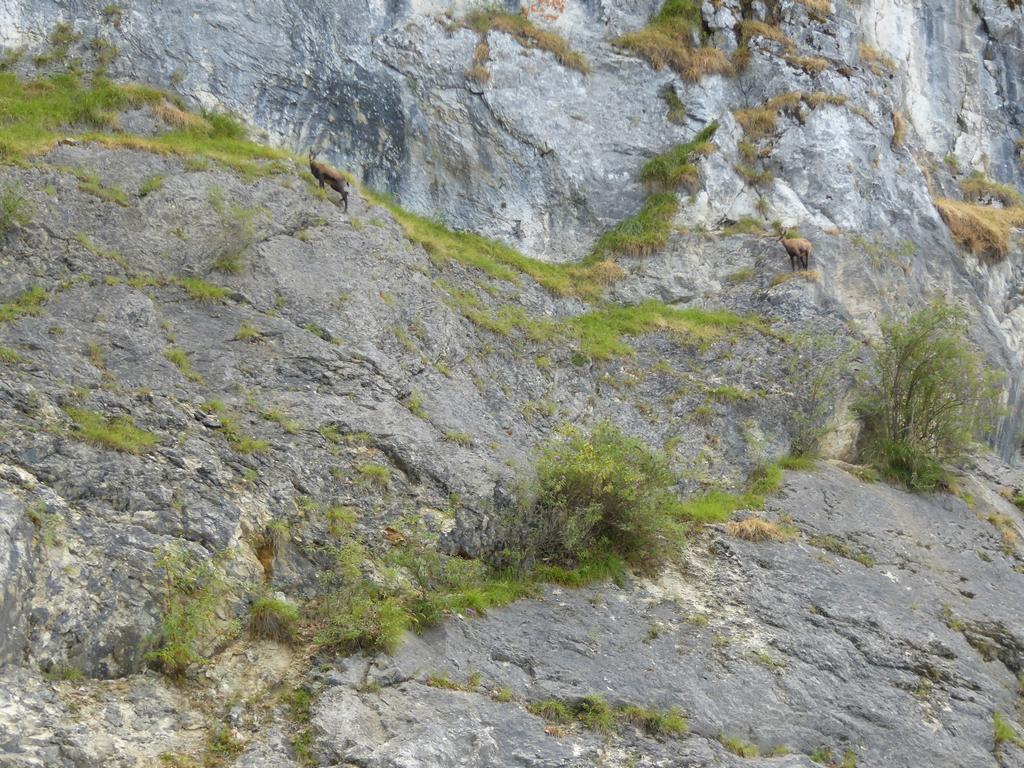 {Clic pour voir plus grand}