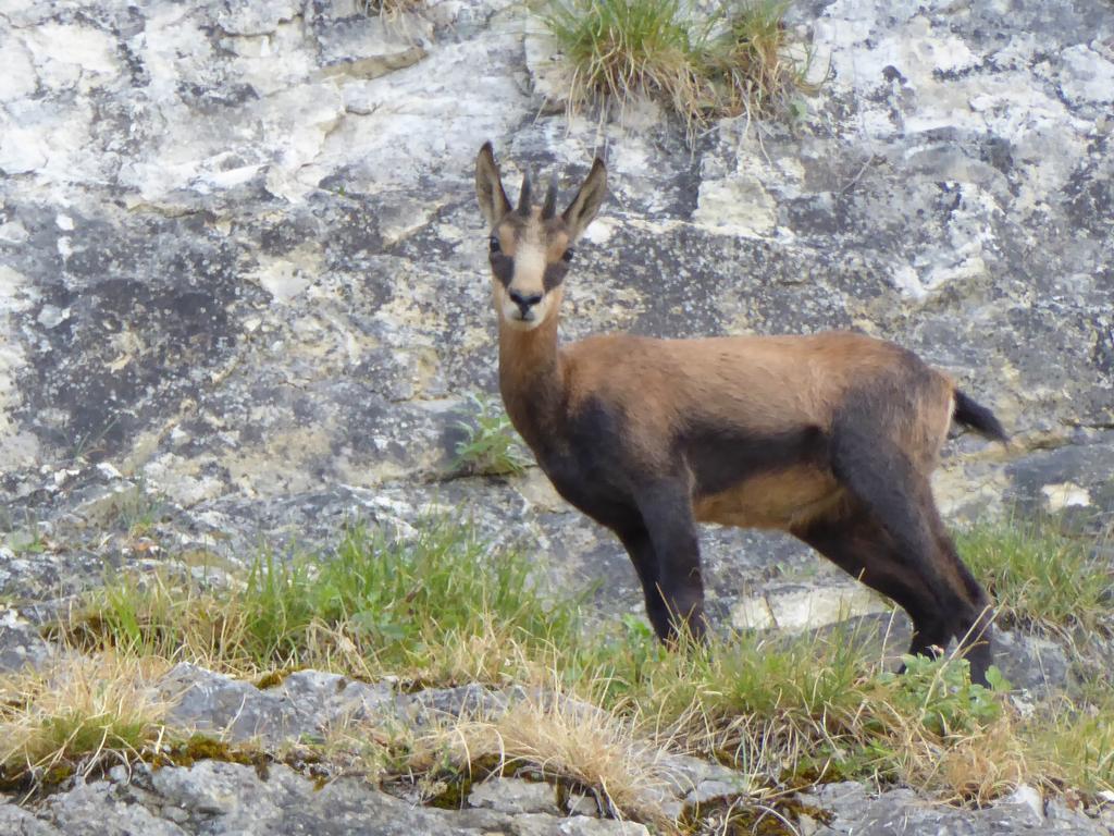 {Clic pour voir plus grand}