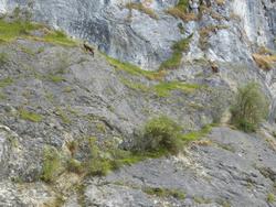 Click to see big picture (1024x768 pixels; 197 KB)