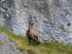 Click to see big picture (1024x768 pixels; 152 KB)