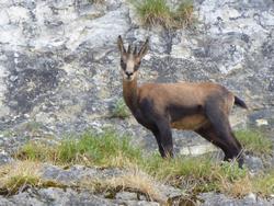 Click to see big picture (1024x768 pixels; 161 KB)