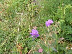 Click to see big picture (1024x768 pixels; 176 KB)