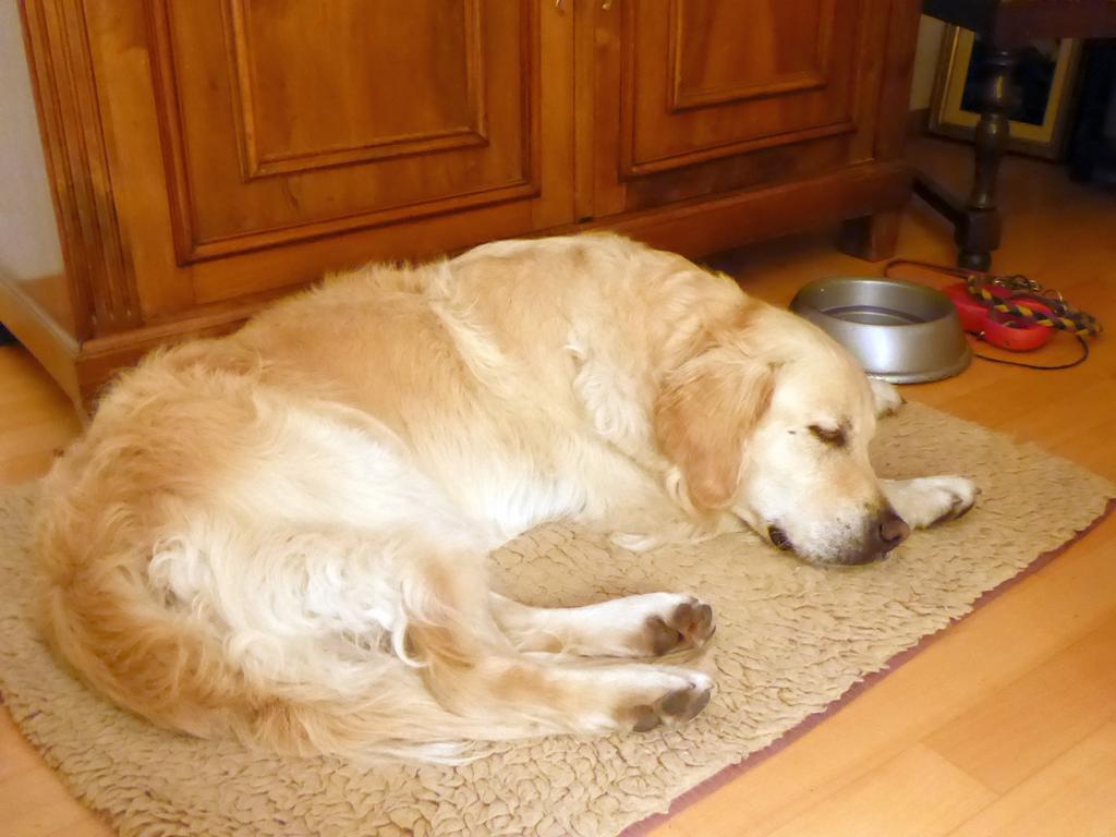 {Clic pour voir plus grand}