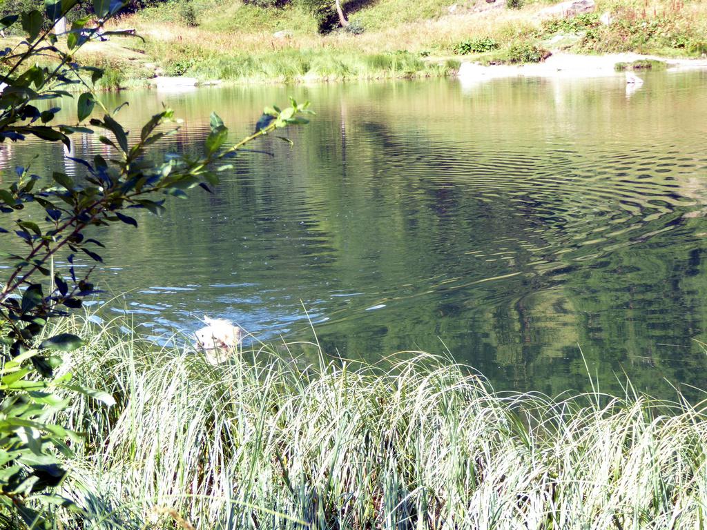 {Clic pour voir plus grand}