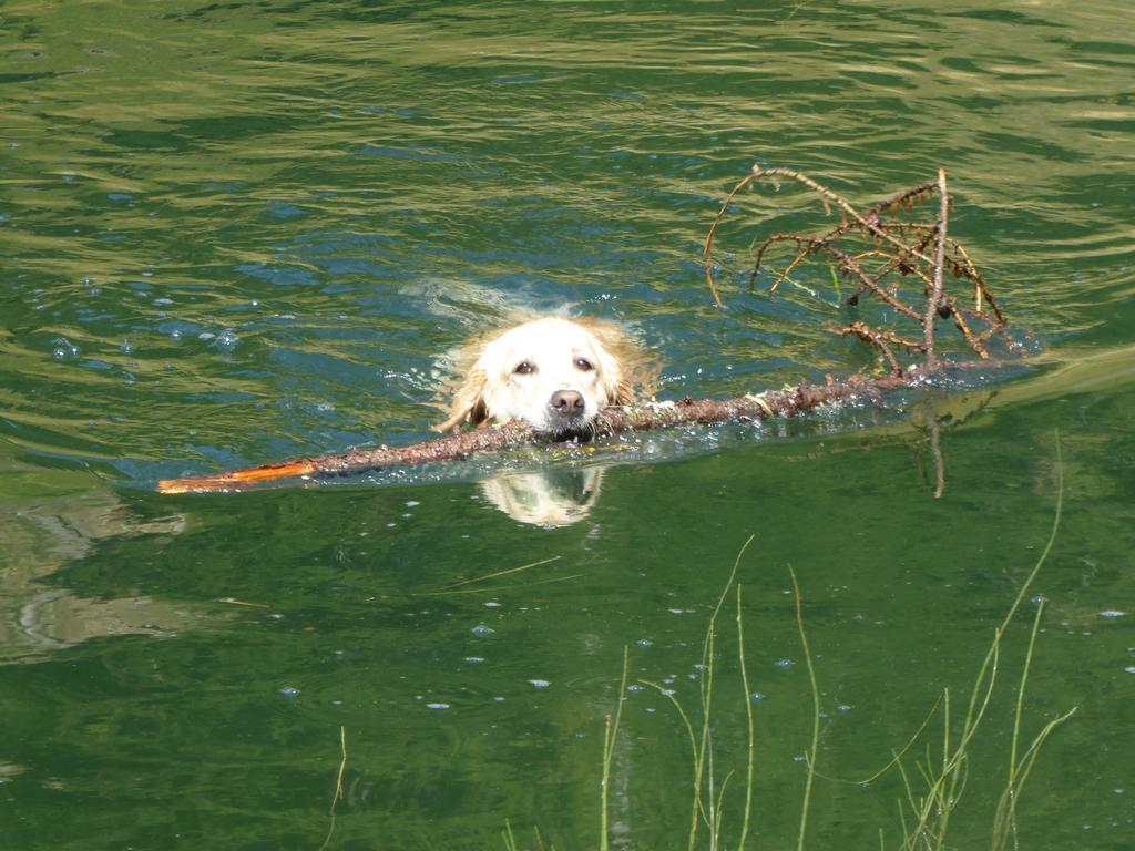 {Clic pour voir plus grand}