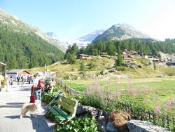 Click to see big picture (1024x768 pixels; 186 KB)