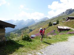 Click to see big picture (1024x768 pixels; 147 KB)